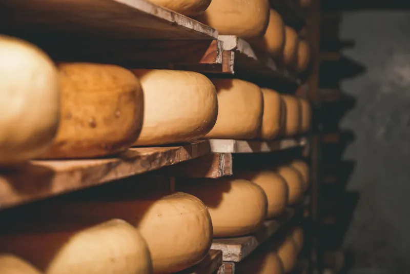 Sous les pavés, le fromage : les caves oubliées qui font la réputation des affineurs de La Fontaine