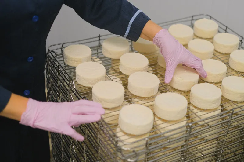 Meules, croûtes et prairies : ce que les fromagers artisanaux du marché de La Fontaine mettent dans chaque fromage