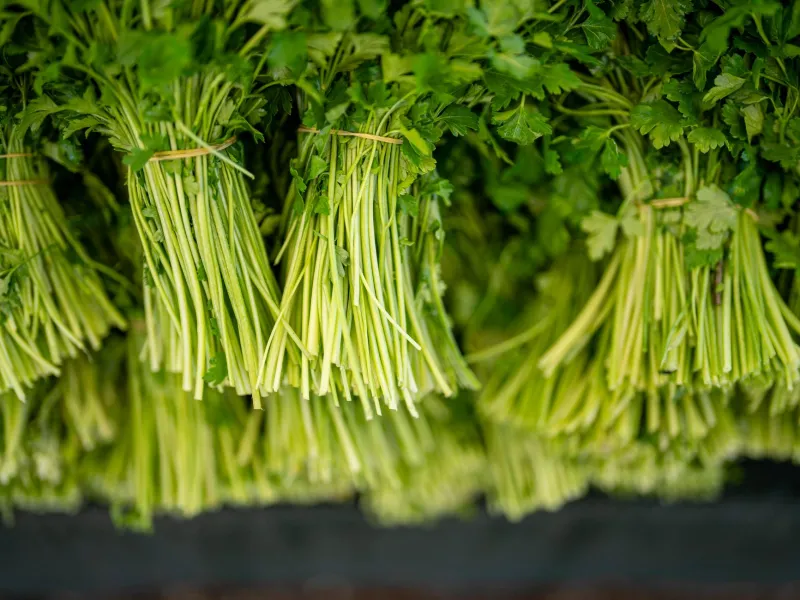 Ces herbes que personne ne remarque : les pépites aromatiques que les producteurs de La Fontaine cultivent avec passion