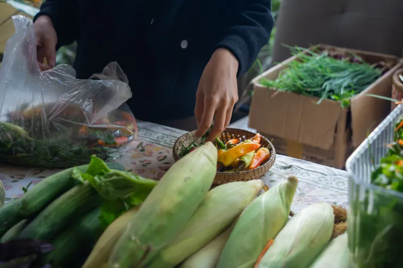 Le langage silencieux des mains : ce que les gestes des producteurs vous apprennent sur leur passion