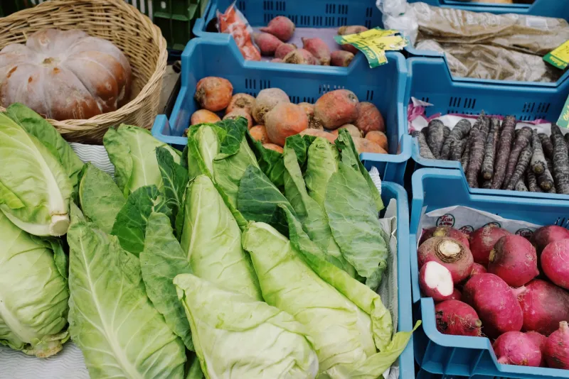 Cultiver selon vos désirs : la danse secrète entre maraîchers et clients au marché de La Fontaine