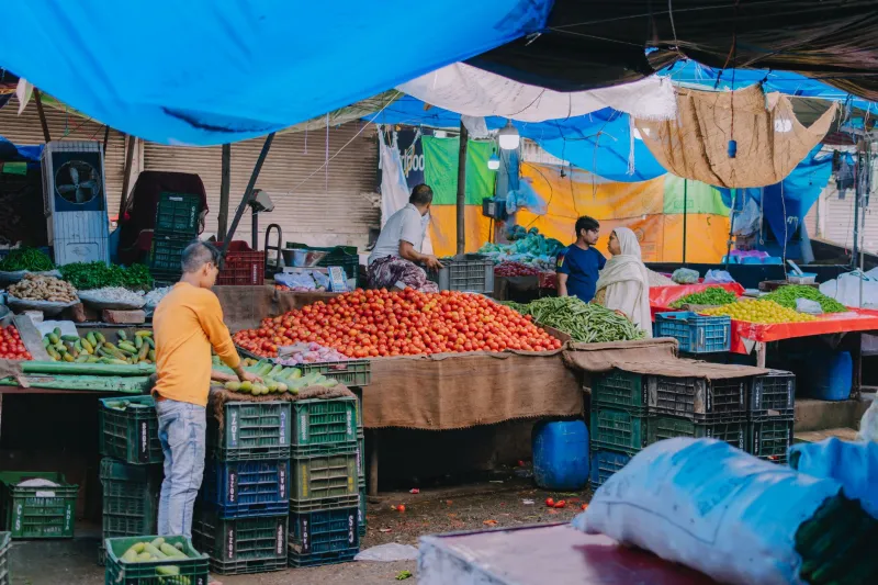 Vrai producteur ou revendeur ? Les clés pour ne plus se tromper au marché de La Fontaine